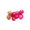 plantslive-buy-baking-cherry-plant-online-india