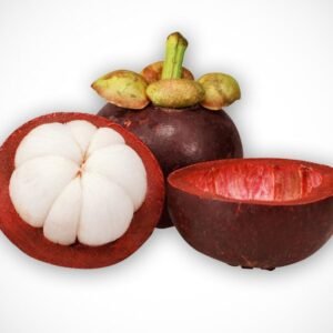 Mangosteen